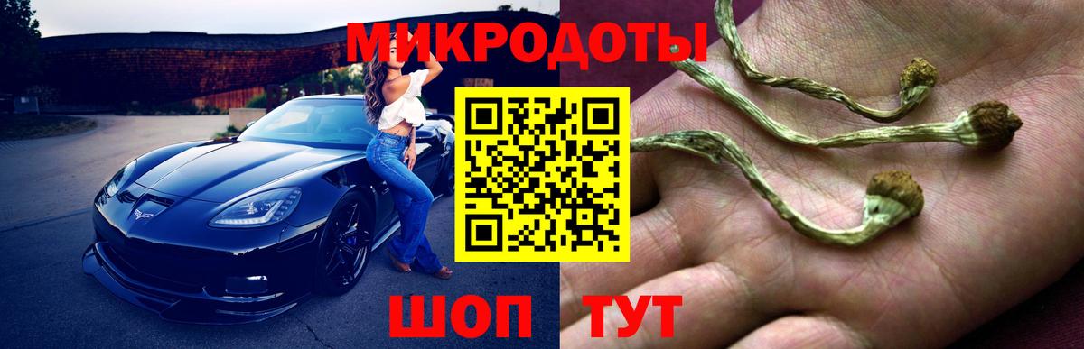 Псилоцибиновые грибы прущие грибы  закладка  Коряжма  Вход с VPN 
